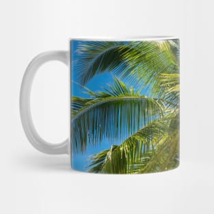 Panaraga Beach, Barobo, Surigao del Sur, Mindanao, Philippines Mug